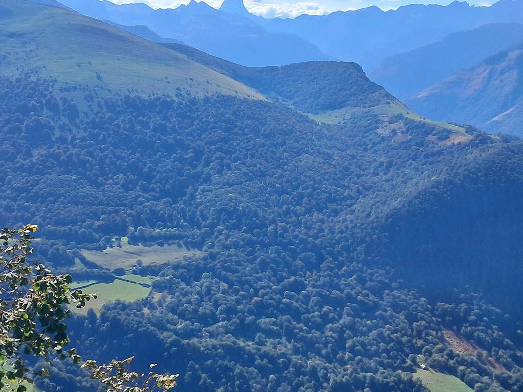 Photo de Christian Ferrère