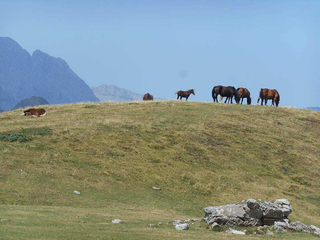 Photo de Christian Ferrère