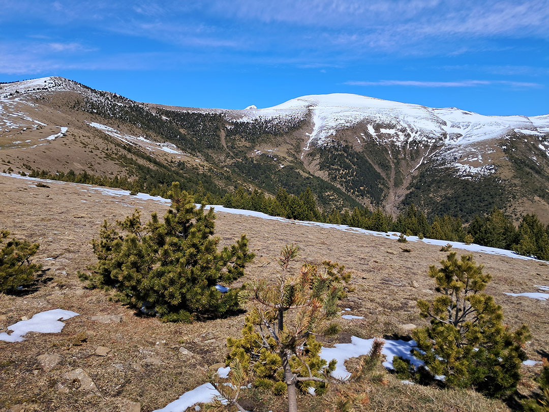 Photo de Christian Ferrère