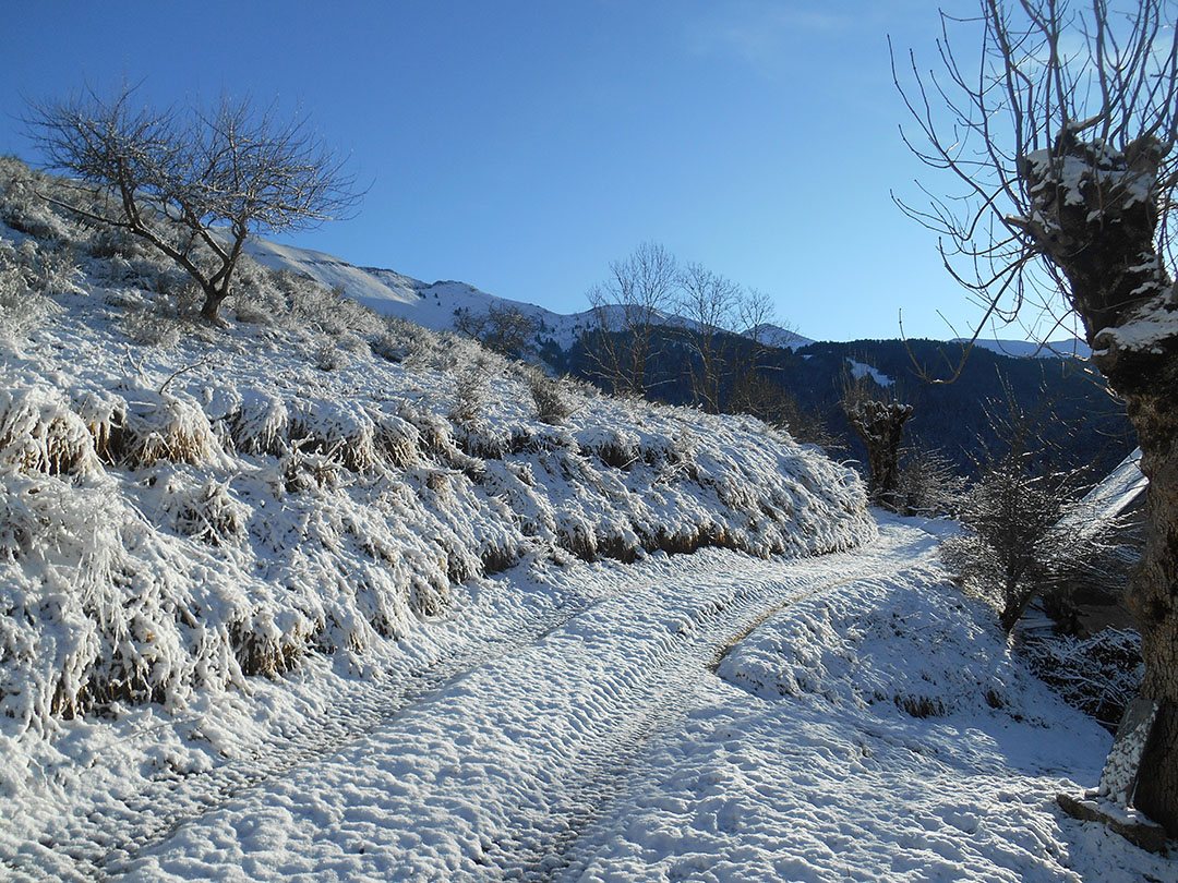 Photo de Christian Ferrère