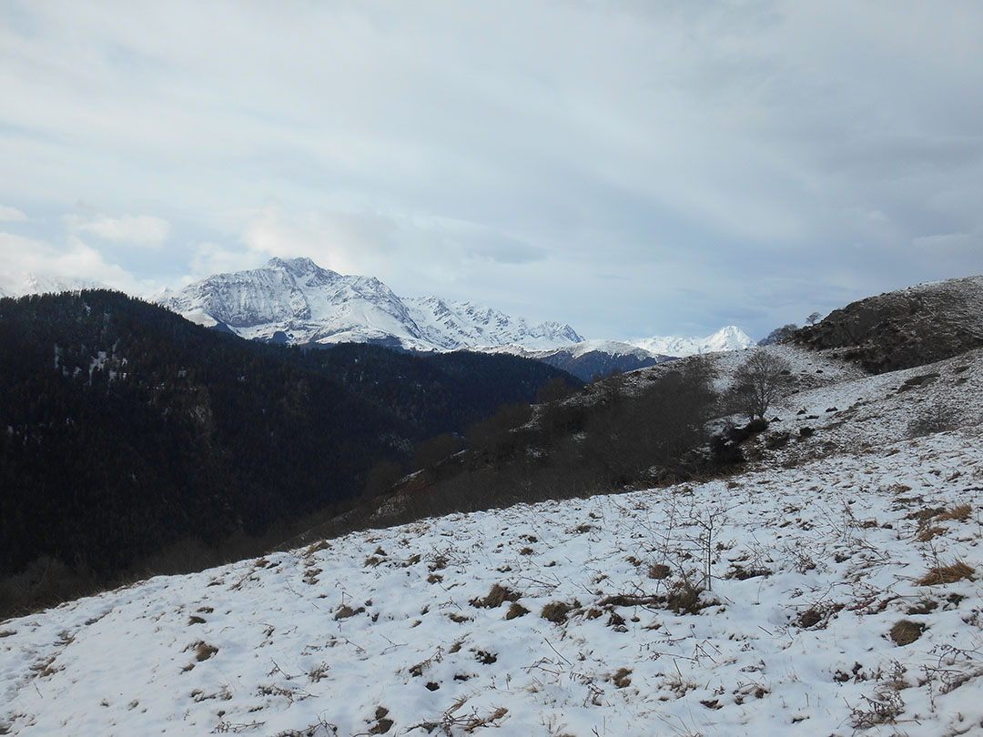 Photo de Christian Ferrère