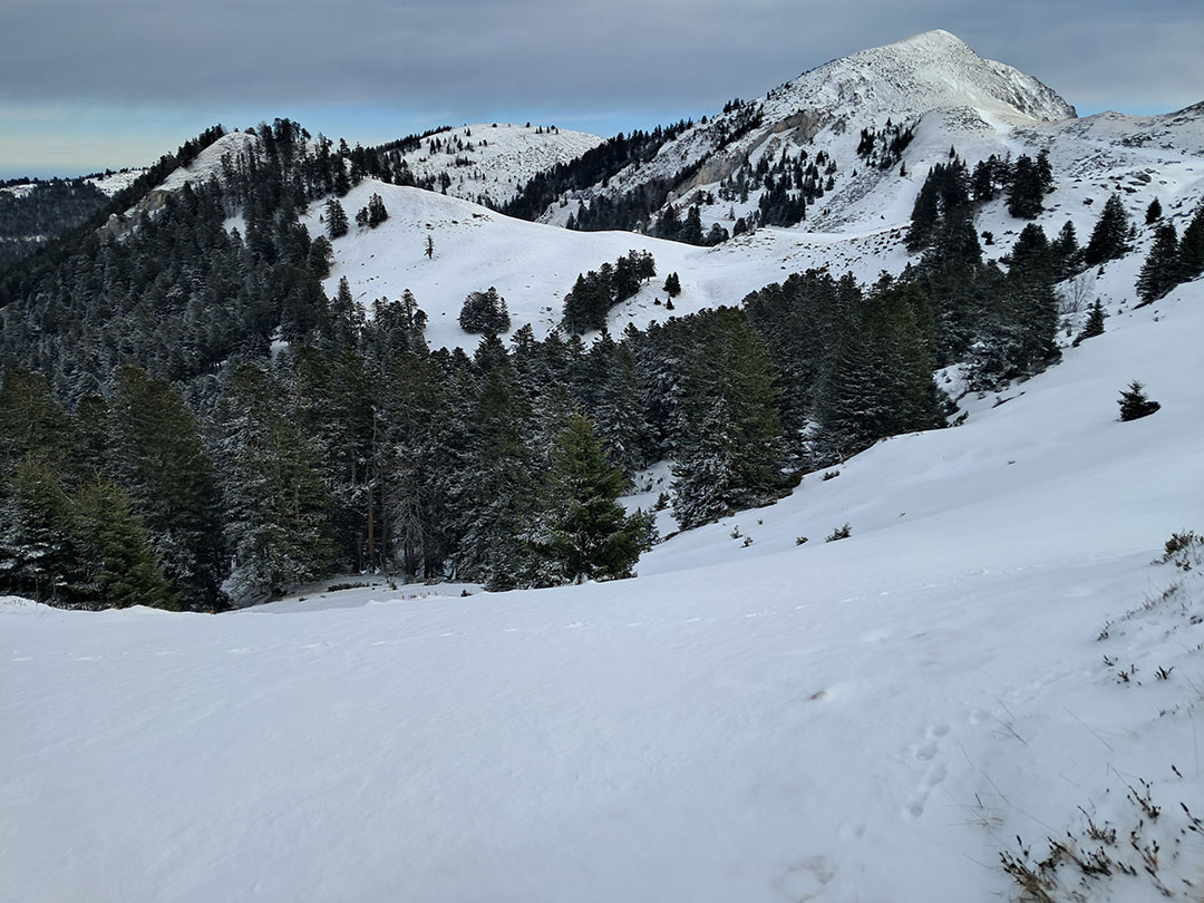 Photo de Christian Ferrère