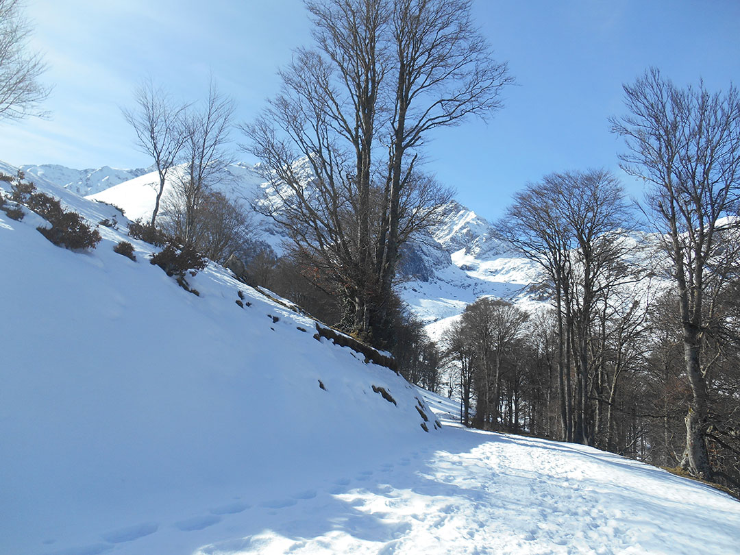 Photo de Christian Ferrère