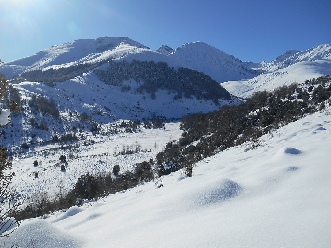 Photo de Christian Ferrère