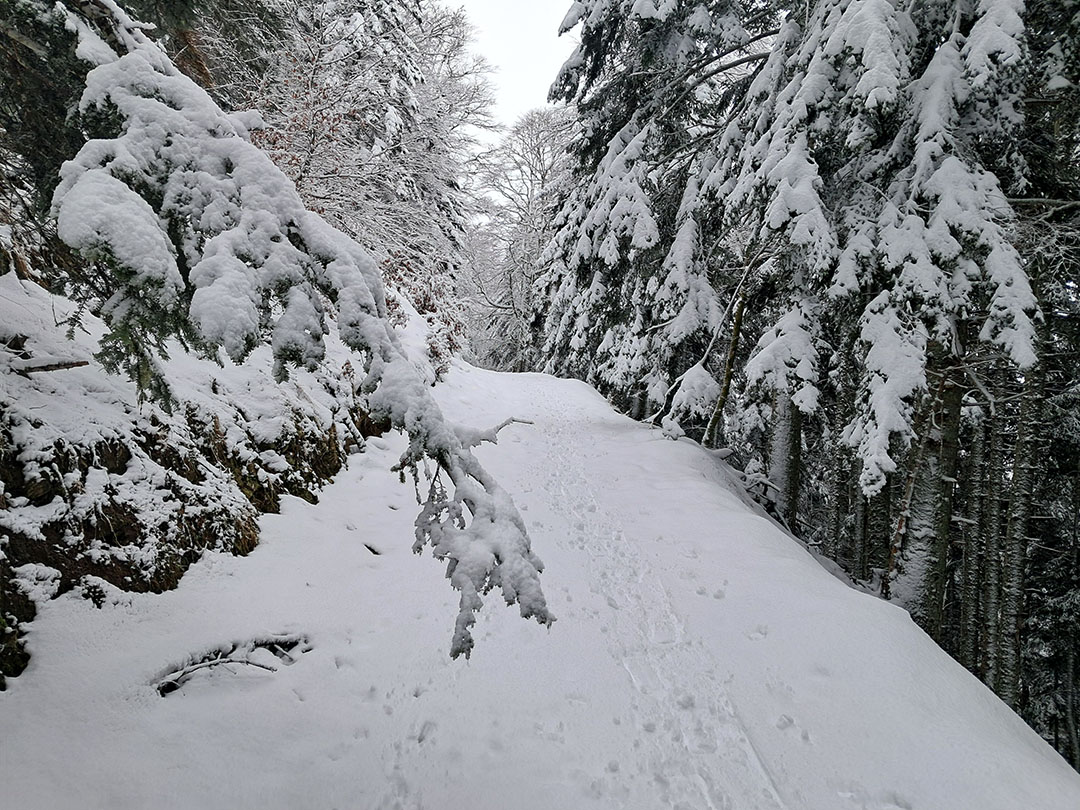 Photo de Christian Ferrère