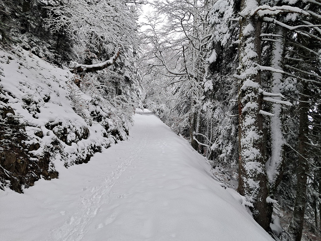 Photo de Christian Ferrère