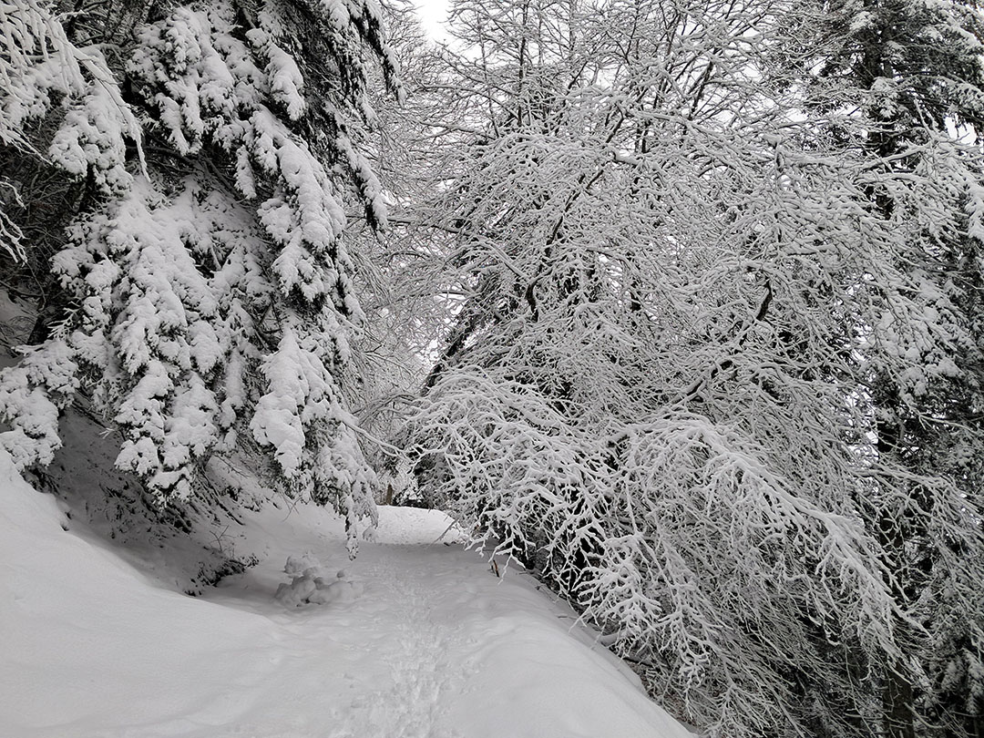 Photo de Christian Ferrère