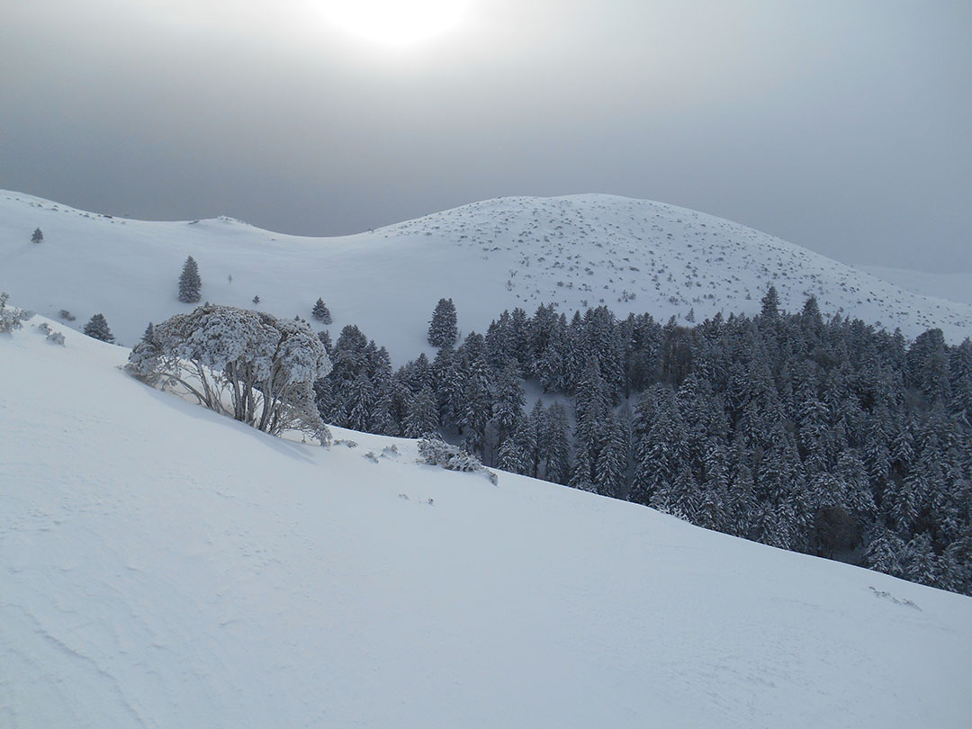 Photo de Christian Ferrère