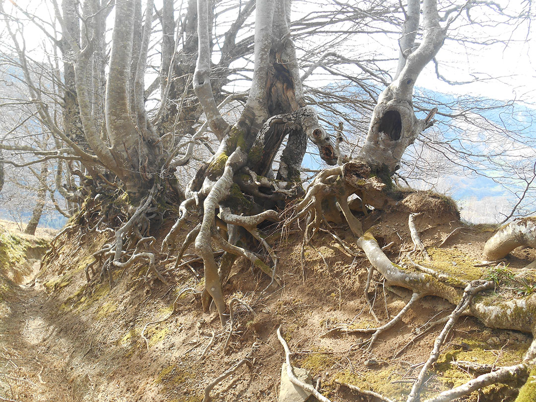 Photo de Christian Ferrère