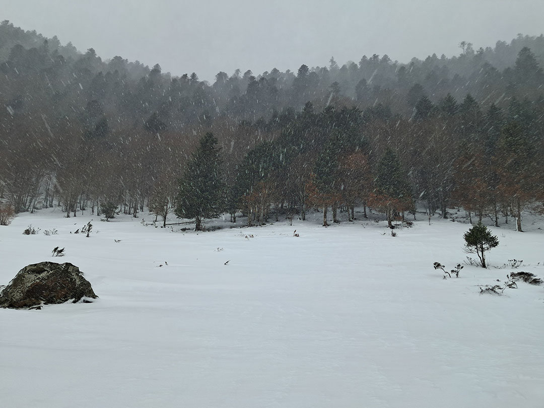 Photo de Christian Ferrère Photo de Christian Ferrère