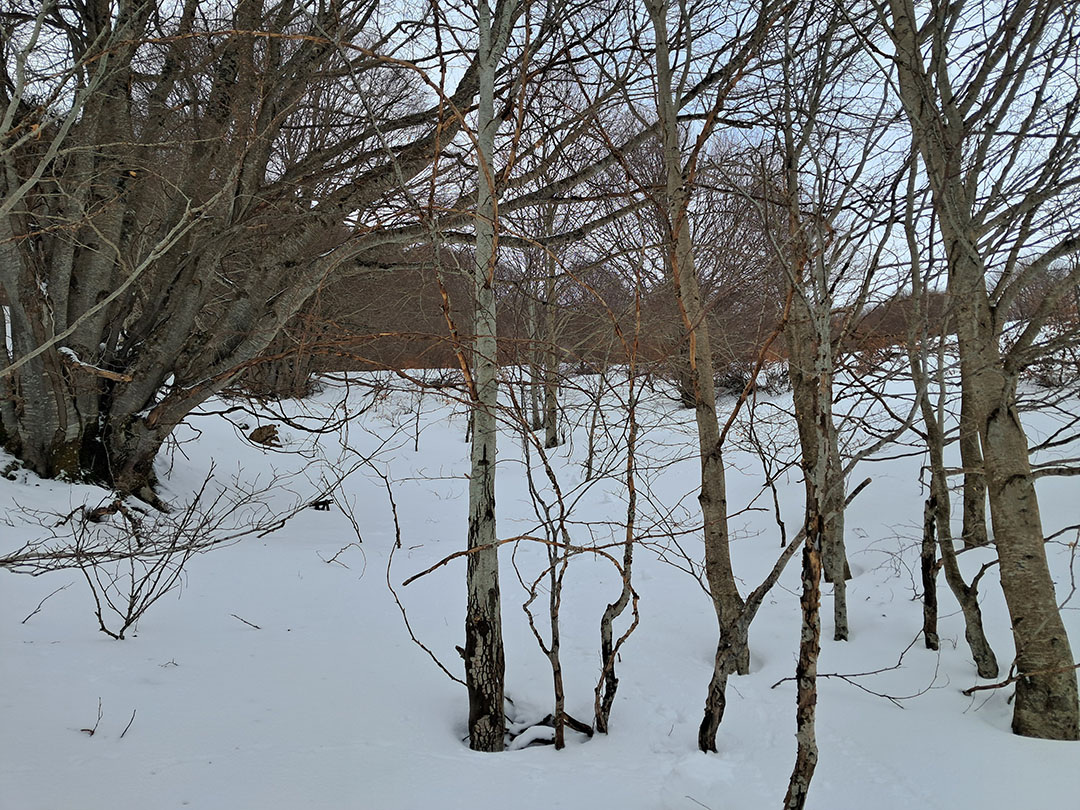 Photo de Christian Ferrère Photo de Christian Ferrère