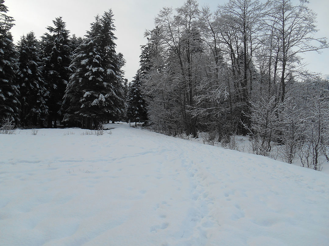 Photo de Christian Ferrère