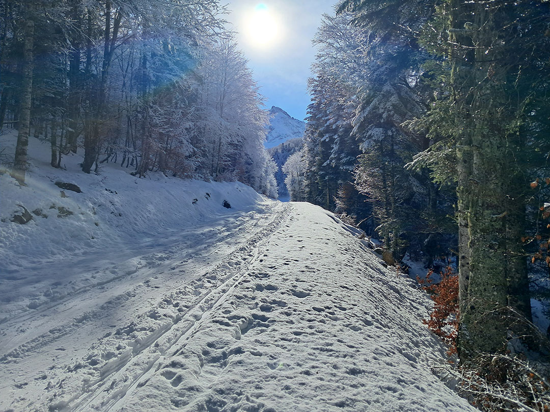 Photo de Christian Ferrère