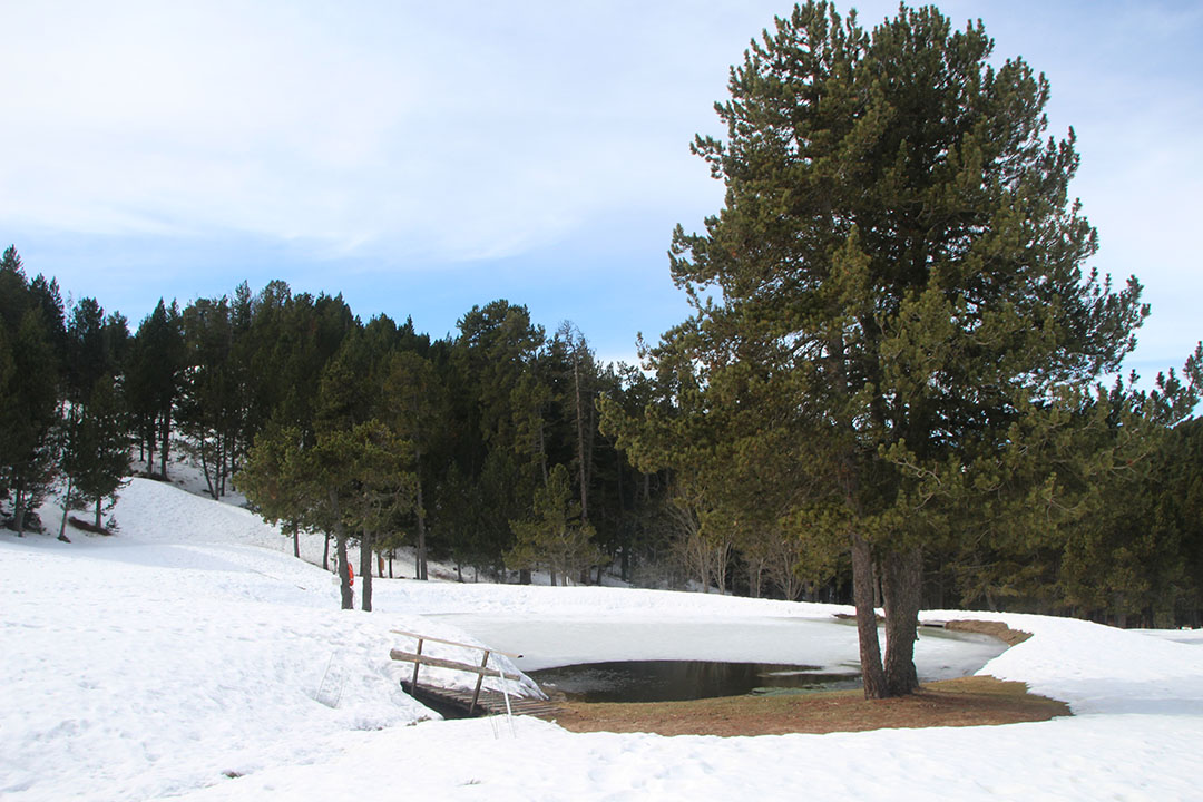 Photo de Christian Ferrère