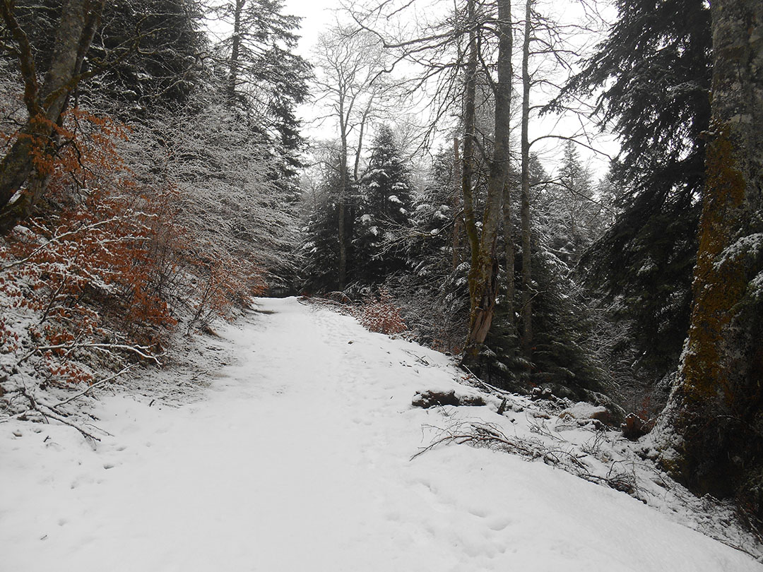 Photo de Christian Ferrère