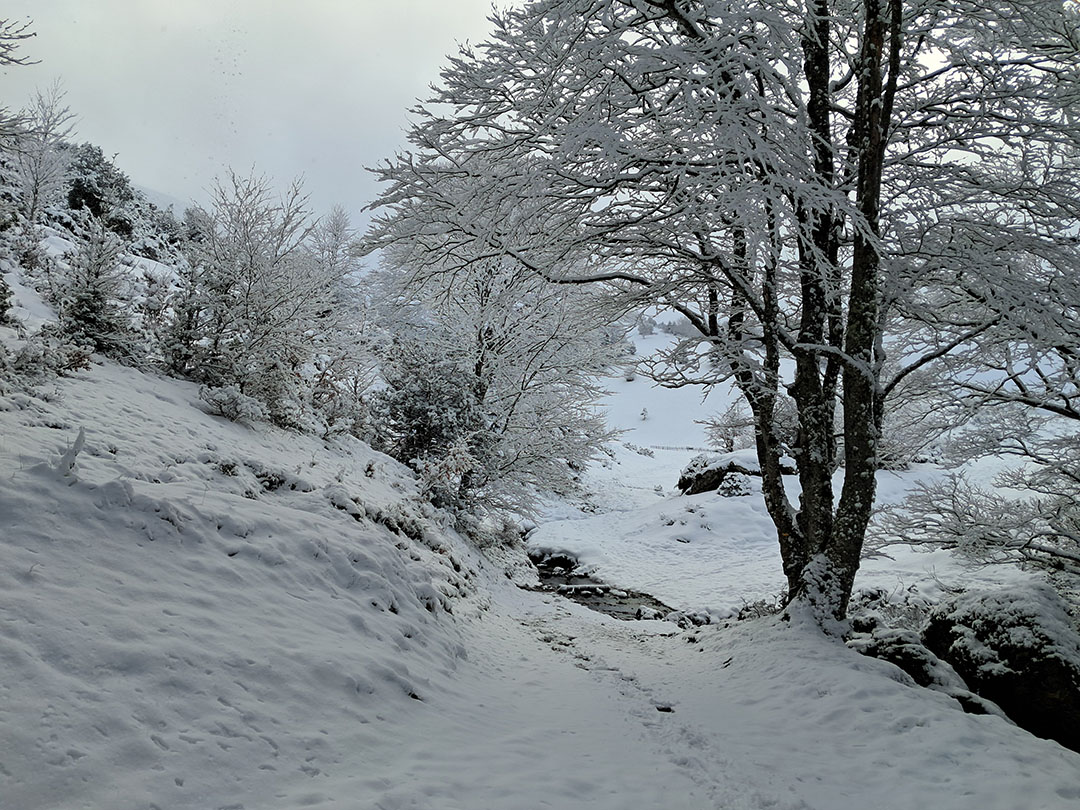 Photo de Christian Ferrère