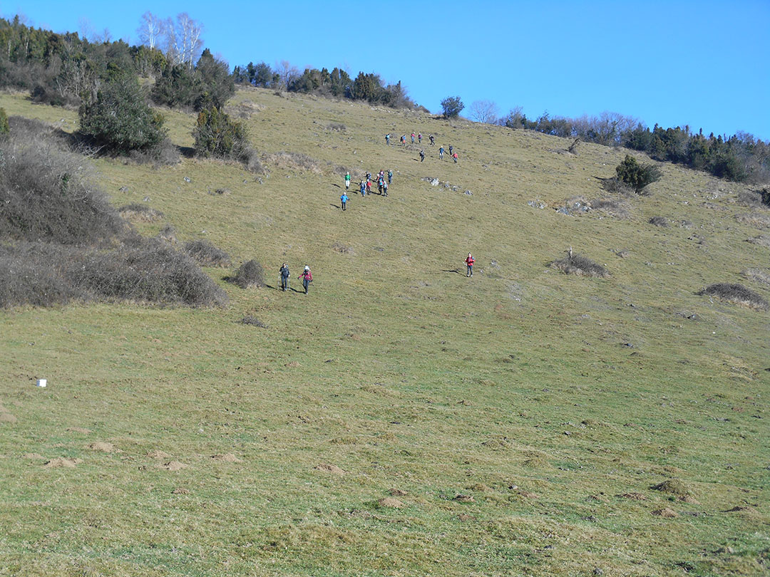 Photo de Christian Ferrère Photo de Christian Ferrère