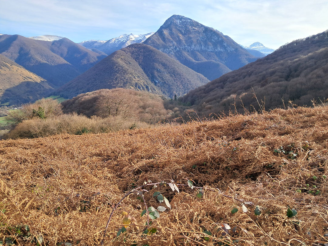 Photo de Christian Ferrère Photo de Christian Ferrère