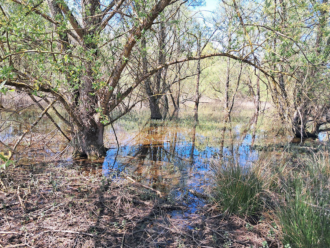 Photo de Christian Ferrère
