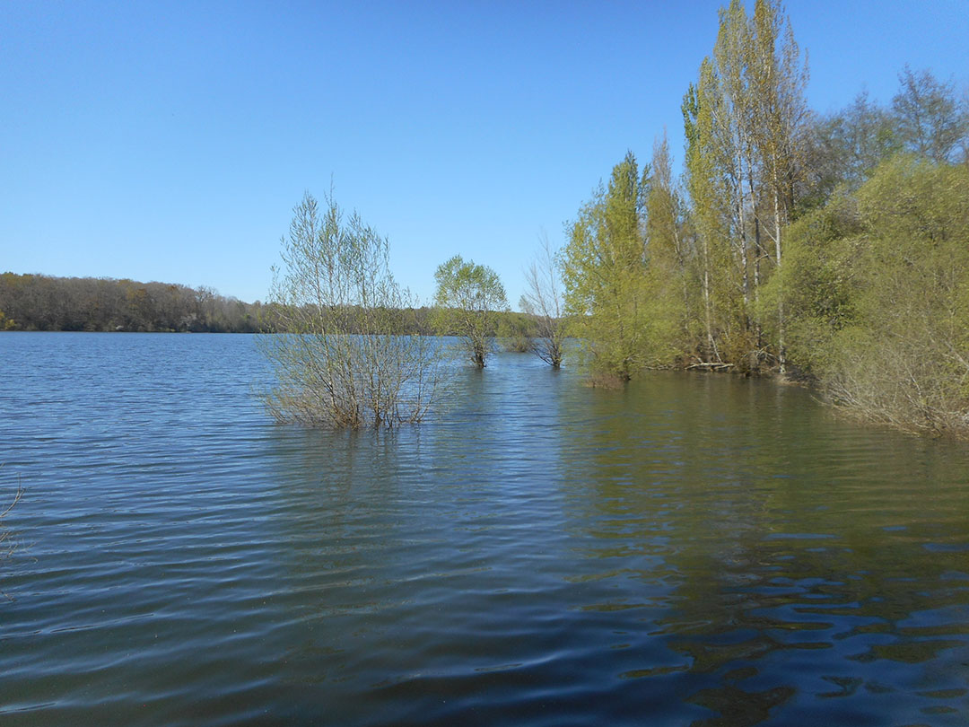 Photo de Christian Ferrère