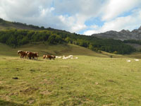 Randonn�es et ski de randonn�es en montagne dans les Pyr�n�es