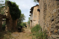 Randonn�es et ski de randonn�es en montagne dans les Pyr�n�es