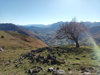 Randonn�es et ski de randonn�es en montagne dans les Pyr�n�es