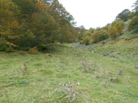 Randonn�es et ski de randonn�es en montagne dans les Pyr�n�es