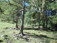 Randonn�es et ski de randonn�es en montagne dans les Pyr�n�es