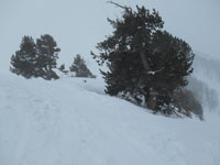 Randonn�es et ski de randonn�es en montagne dans les Pyr�n�es