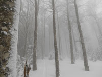 Randonn�es et ski de randonn�es en montagne dans les Pyr�n�es