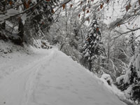 Randonn�es et ski de randonn�es en montagne dans les Pyr�n�es