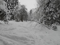 Randonn�es et ski de randonn�es en montagne dans les Pyr�n�es