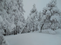 Randonn�es et ski de randonn�es en montagne dans les Pyr�n�es