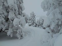 Randonn�es et ski de randonn�es en montagne dans les Pyr�n�es