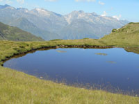 Randonn�es et ski de randonn�es en montagne dans les Pyr�n�es