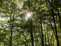 Randonn�es et ski de randonn�es en montagne dans les Pyr�n�es