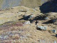 Randonn�es et ski de randonn�es en montagne dans les Pyr�n�es