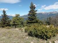 Randonn�es et ski de randonn�es en montagne dans les Pyr�n�es