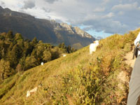 Randonn�es et ski de randonn�es en montagne dans les Pyr�n�es