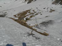 Randonn�es et ski de randonn�es en montagne dans les Pyr�n�es