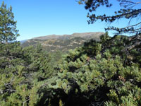 Randonn�es et ski de randonn�es en montagne dans les Pyr�n�es