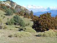 Randonn�es et ski de randonn�es en montagne dans les Pyr�n�es