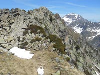 Randonn�es et ski de randonn�es en montagne dans les Pyr�n�es