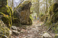 Randonn�es et ski de randonn�es en montagne dans les Pyr�n�es