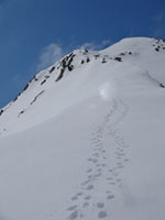 Randonn�es et ski de randonn�es en montagne dans les Pyr�n�es