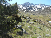 Randonn�es et ski de randonn�es en montagne dans les Pyr�n�es