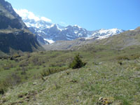 Randonn�es et ski de randonn�es en montagne dans les Pyr�n�es