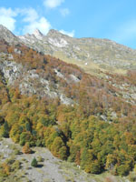 Randonn�es et ski de randonn�es en montagne dans les Pyr�n�es