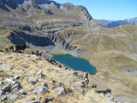 Randonn�es et ski de randonn�es en montagne dans les Pyr�n�es